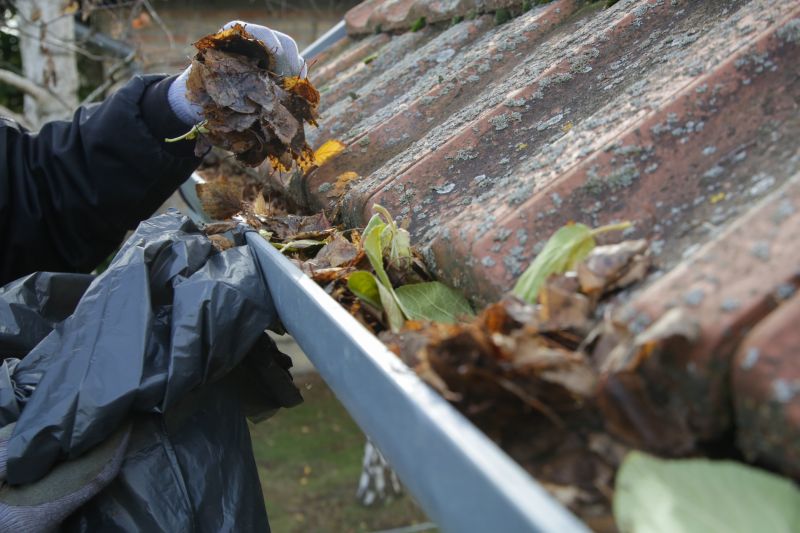 Professional Gutter Inspection